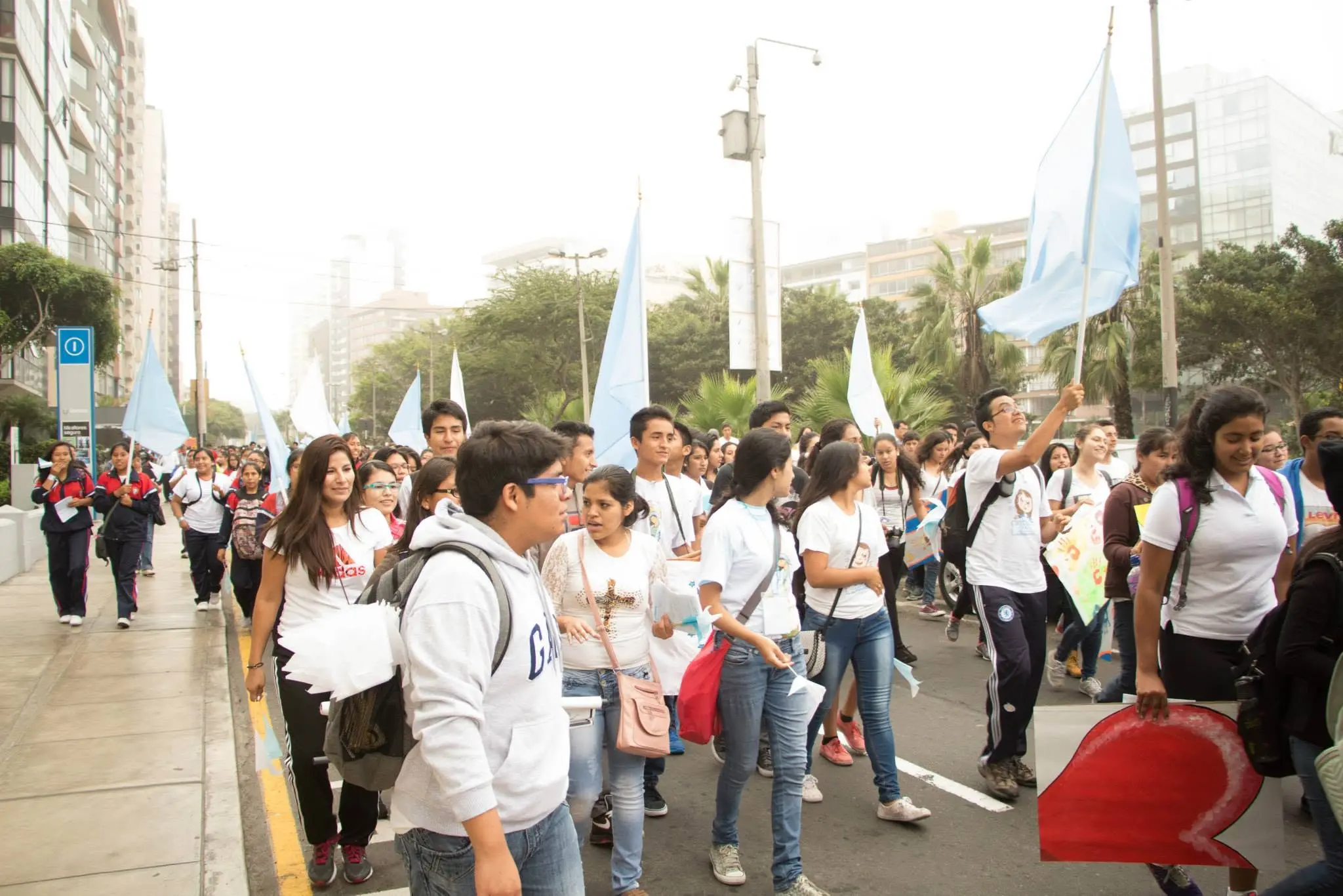 Muchedumbre de jóvenes caminando en la marcha con banderas