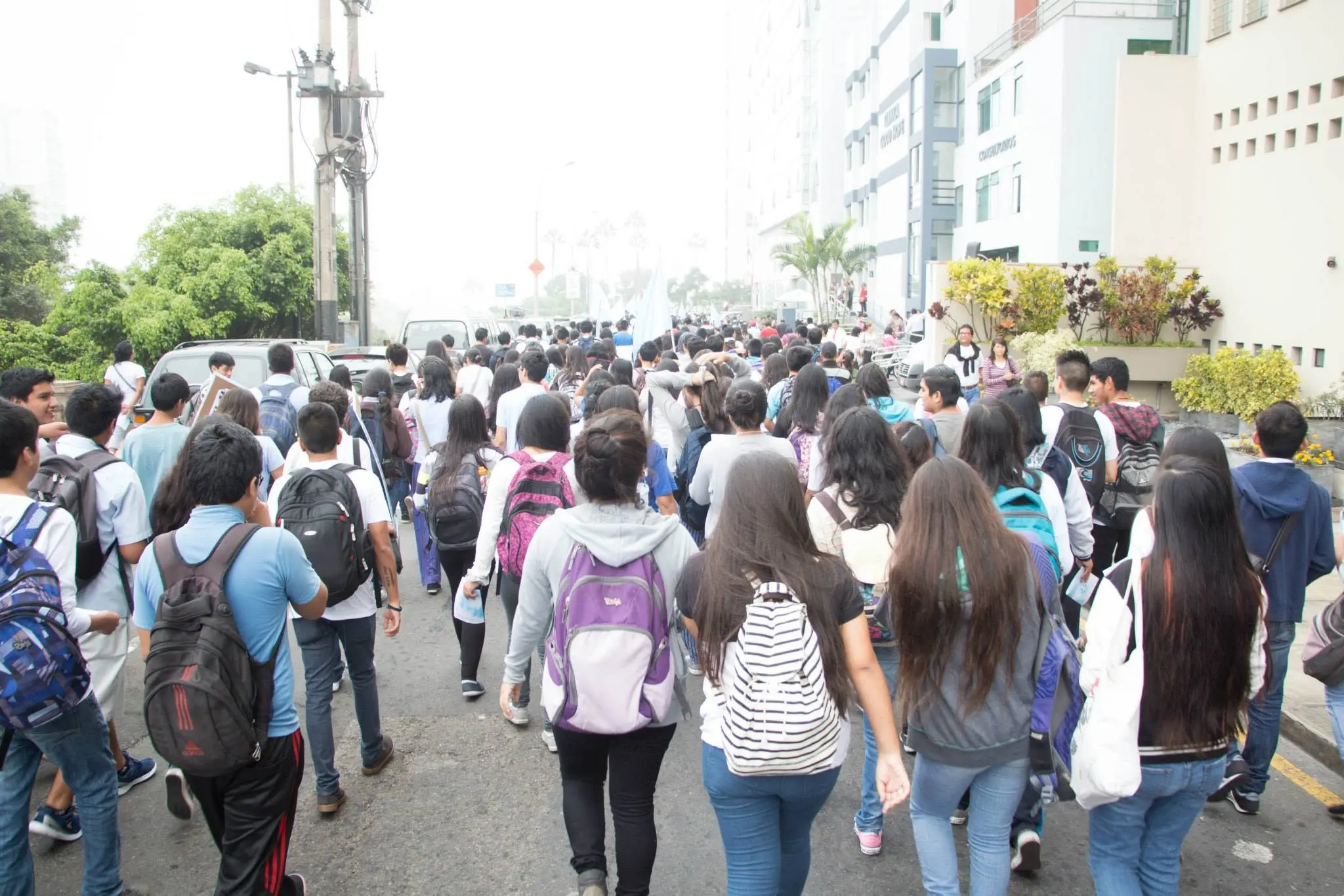 Jóvenes avanzando juntos por la avenida durante la peregrinación